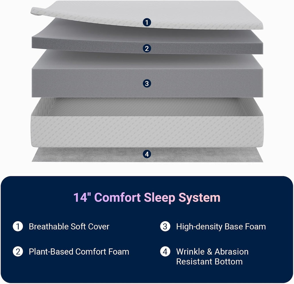 Avenco Queen Mattress 14 Inch, Queen Size Mattresses Medium Firm for Back Pressure Relief, Mattress in a Box CertiPUR-US Certified Foam Colchones
