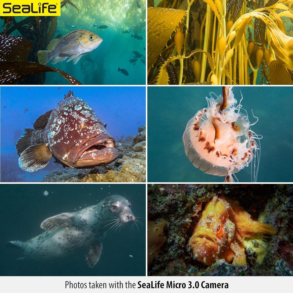 SeaLife Micro 3.0 Pro 3000 Color Boost Underwater Camera & Light Set for Photos and Video, Easy Set-up, Wireless Transfer, with Sea Dragon Travel case