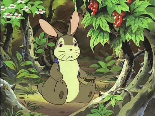 Mountain Mouse Rocky Chuck Digital Remastered Version DVD-BOX Volume 1 Anime Library of Memories
