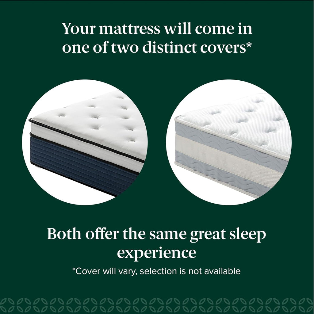 Zinus 12 Inch Comfort Support Hybrid Mattress New Version, Queen, Fiberglass Free, Medium Plush, Motion Isolation, Certified Safe Foams & Fabric, Mattress in A Box