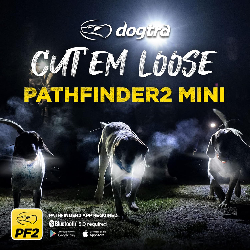 Dogtra Pathfinder 2 Mini - 4 Mile GPS Tracker Dog Hunting Training Collar with Remote, Rechargeable E-Fence Training Collar for Small Medium Large Sport Hunting Dogs, Electric Collar for Professionals