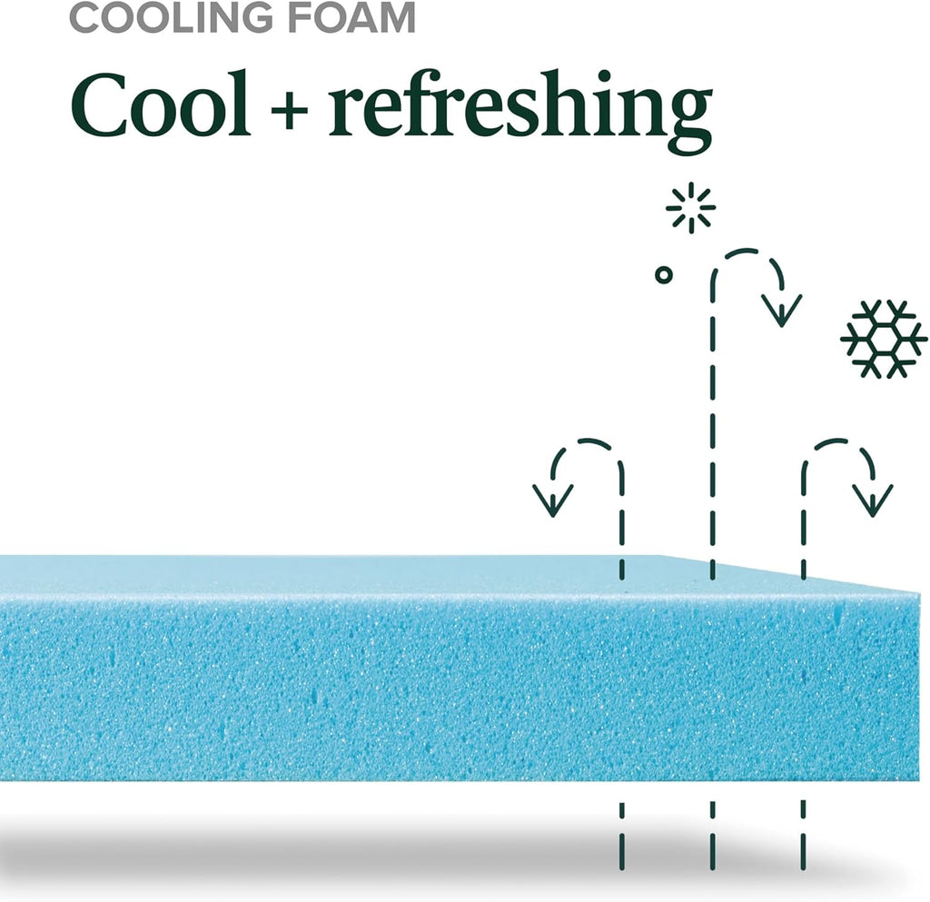 Zinus 8 Inch Green Tea Cooling Memory Foam Mattress New Version, Full, Fiberglass Free, Medium Firmness, Cooling Gel Foam, Certified Safe Foams & Fabric, Mattress in A Box