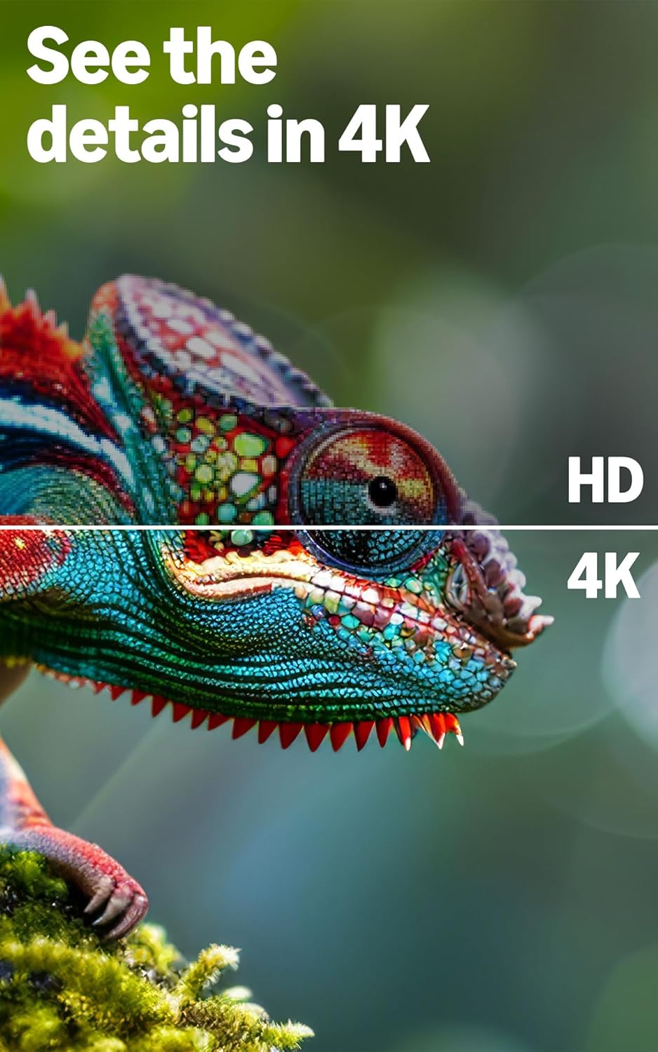 Amazon Ember 50" 4-Series with Fire TV (newest model), 4K Ultra HD smart TV with Alexa Remote, HDR10+, fast processor, Dolby Audio, Ambient Experience, free and live TV, find shows faster with Alexa+