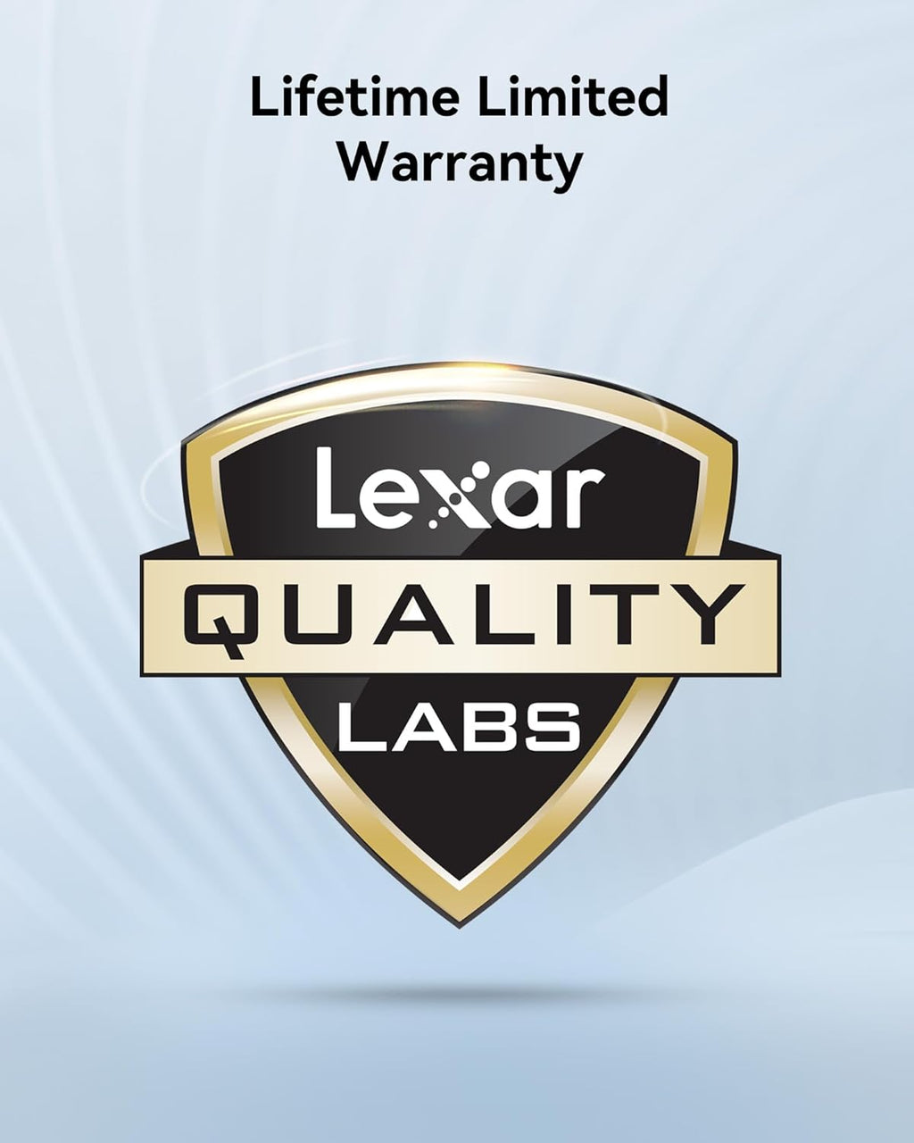 Lexar 256GB (2-PK) Professional Silver PRO SD Card, UHS-II, C10, U3, V60, Full HD, 4K, Up to 280MB/s Read SDXC Memory Card, for Professional Photographer, Videographer, Enthusiast (LSDSIPR256G-B2NNU)