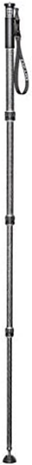 Gitzo GM2542 Traveler Professional Photography Monopod, Series 2, 4 Sections, for DSLR and Reflex Camcorders, Video Cameras, for Photographers and Videographers, in Carbon Fibre, Holds up to 30 Kg