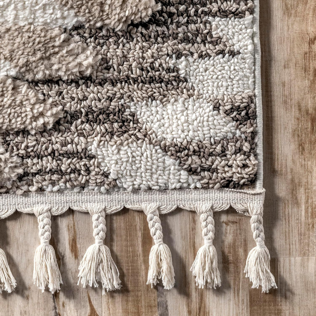 nuLOOM Adelade Beige/Ivory, 8'10" x 12', Southwestern, Shaggy, Soft and Cozy, High Traffic, Stain Resistant Area Rug for Bedroom, Living Room, Dining Space, Den, Foyer, Entryway