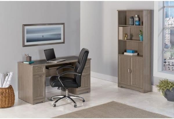 Realspace Magellan 24"W 2-Drawer Lateral File Cabinet, Gray