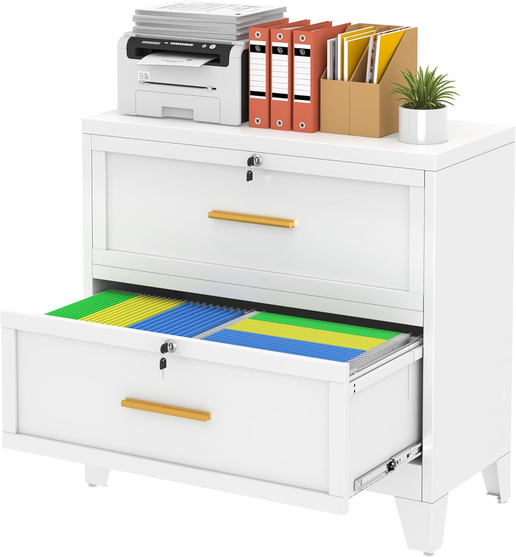 erosoei 2 Drawer File Cabinet with Lock, Metal Lateral File Cabinets for Home Office, Steel Wide Filing Organization Storage Cabinets, Home Office Furniture for Hanging Files Letter/Legal/F4/A4 Size