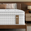 BedStory Firm Queen Mattress 14 Inch, Hybrid Queen Size Mattress in a Box, Back Pain Relief, Luxury Pocket Spring Mattress, Fiberglass-Free, 365-Night-Trial, 10 Year Warranty