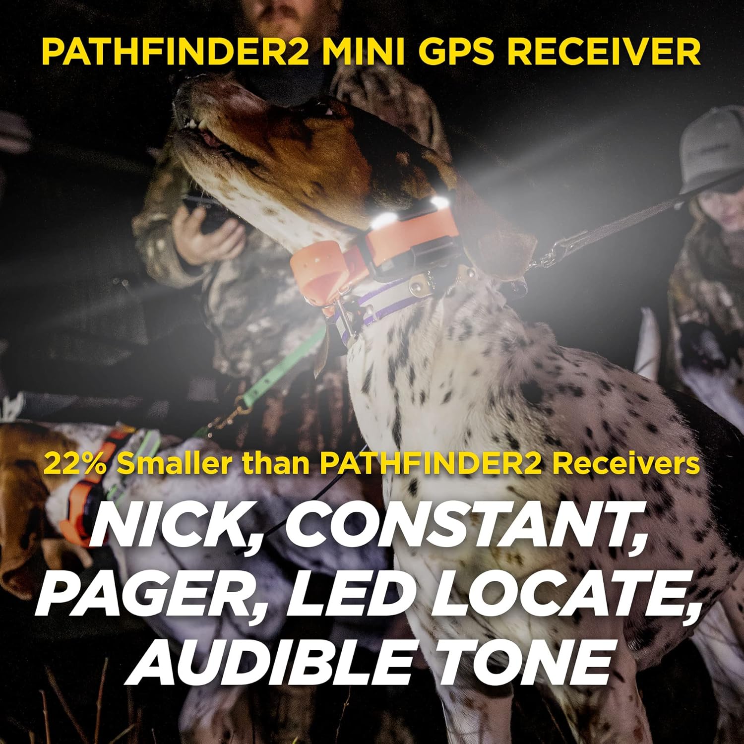 Dogtra Pathfinder 2 Mini - 4 Mile GPS Tracker Dog Hunting Training Collar with Remote, Rechargeable E-Fence Training Collar for Small Medium Large Sport Hunting Dogs, Electric Collar for Professionals