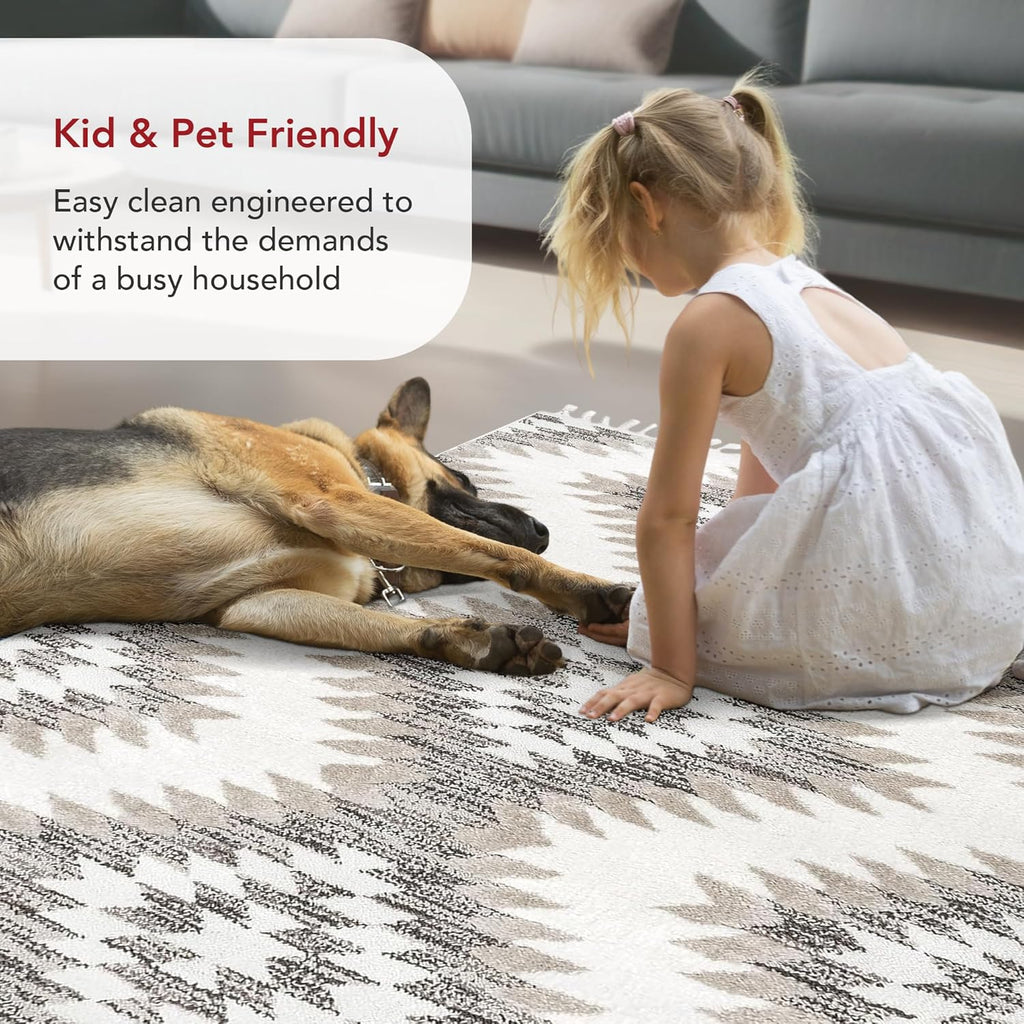 nuLOOM Adelade Beige/Ivory, 8'10" x 12', Southwestern, Shaggy, Soft and Cozy, High Traffic, Stain Resistant Area Rug for Bedroom, Living Room, Dining Space, Den, Foyer, Entryway