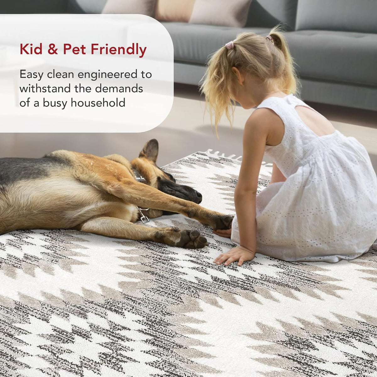 nuLOOM Adelade Beige/Ivory, 8'10" x 12', Southwestern, Shaggy, Soft and Cozy, High Traffic, Stain Resistant Area Rug for Bedroom, Living Room, Dining Space, Den, Foyer, Entryway