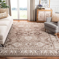 SAFAVIEH Area Rug 9x12 - Vintage Hamadan Collection - Large - Taupe, Traditional Persian Design, Non-Shedding & Easy to Clean, Ideal for Living Room, Bedroom, Dining Space (VTH214T)