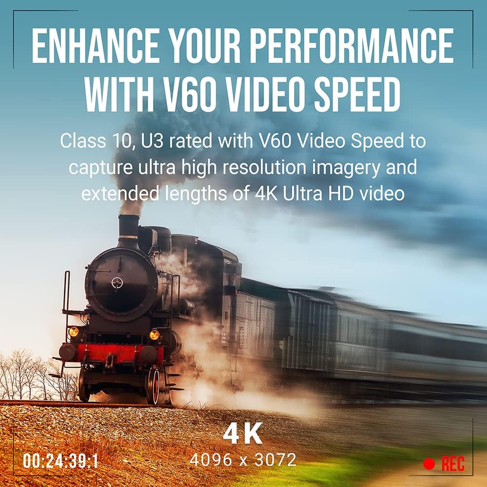 PNY 256GB EliteX-PRO60 UHS-II SDXC Memory Card - R280MB/s W180MB/s, U3, V60, 4K UHD, Full HD, UHS-II for Professional Photographers & Content Creators, DSLR Mirrorless Cameras, Advanced Video Cameras