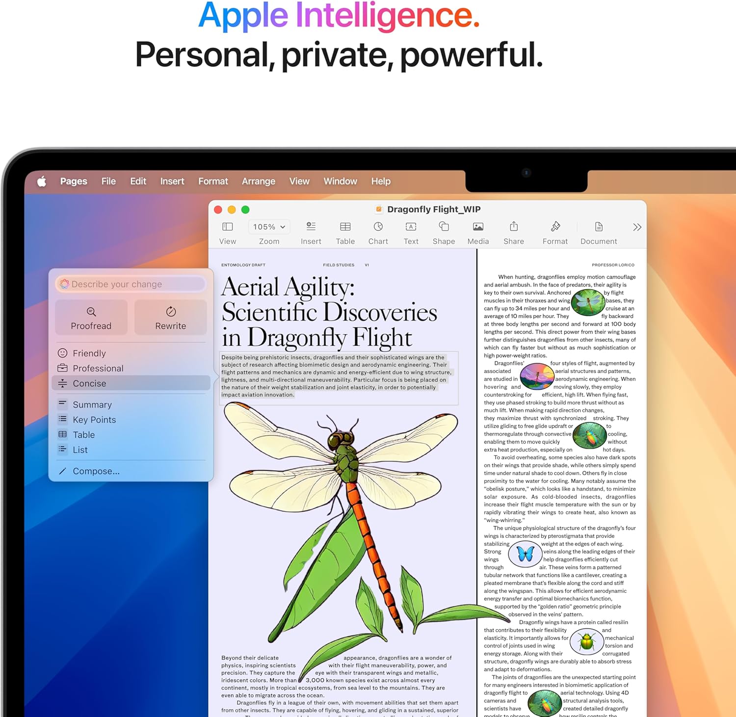 2025 Apple MacBook Air with Apple M4 Chip (13-inch, 16GB RAM, 256GB SSD Storage) Silver (Renewed)