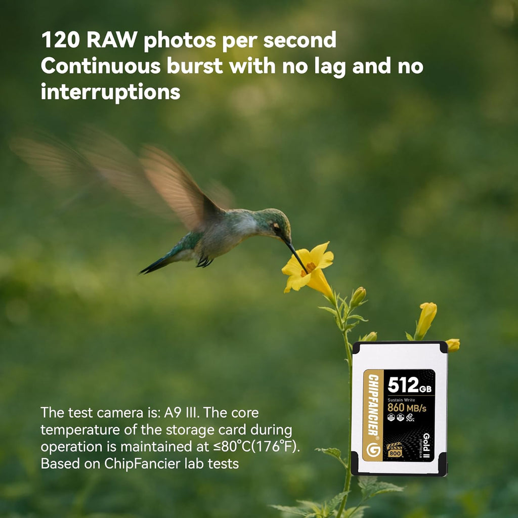 Gold II 512GB CFexpress 4.0 Type A Card VPG800 Certified Sustained Read 1780MB/s & Write 860MB/s for Photographers & Videographers - Sony Alpha FX RAW 8K/12K Video