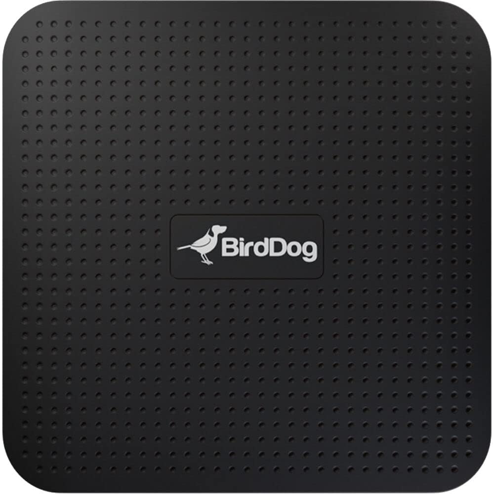 BIRDDOG Play 4K NDI Player
