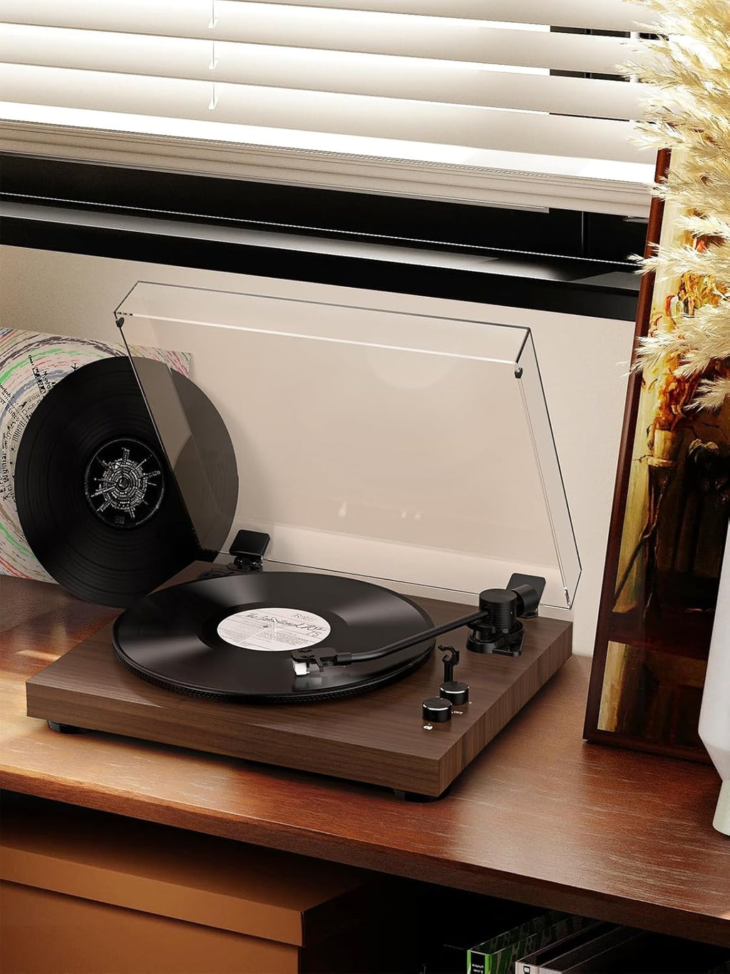 Vinyl Record Player Belt Drive 2-Speed Playback Turntable Bluetooth Wireless Output Connectivity Record Player with Magnetic Cartridge Built-in Phono Pre-amp