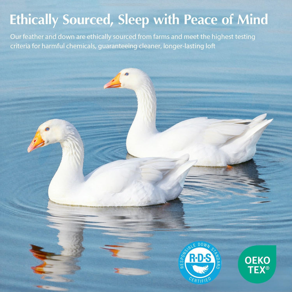 Pacific Coast Lightweight Goose Feather Down Fiber Comforters King Size, Summer Duvet Insert, Ultra Soft, Breathable, Hotel Luxury Bedding Comforter with 8 Tabs, White, 106 x 90 inches