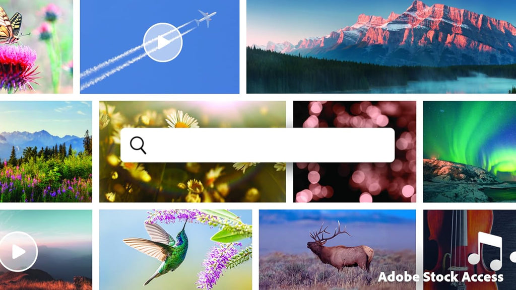 Adobe Photoshop Elements & Premiere Elements 2026 | Software Download | Photo & Video Editing | 3-year term license | Activation Required PC/Mac Online Code