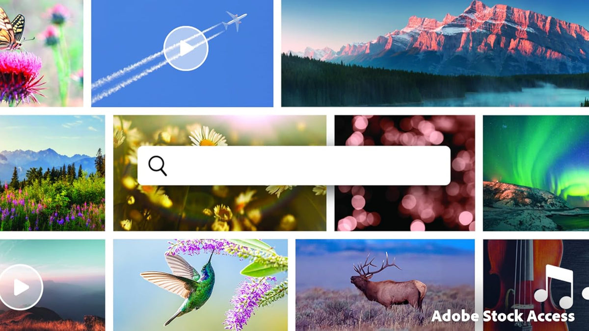 Adobe Photoshop Elements & Premiere Elements 2026 | Software Download | Photo & Video Editing | 3-year term license | Activation Required PC/Mac Online Code
