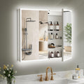 LED Medicine Cabinet Mirror 30x36 IN, Lighted Medicine Cabinet with 3-Colors Dimmable Light, Defog, Medicine Cabinet with Light Built-in 2-Compartment, Sensing Light, 2 Outlets, Recessed or Wall Mount