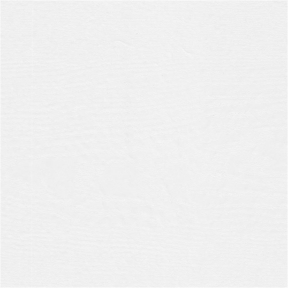 Bush Home Westbrook 2 Drawer Lateral File Cabinet in White Ash | Versatile Storage for Home Office and Living Room