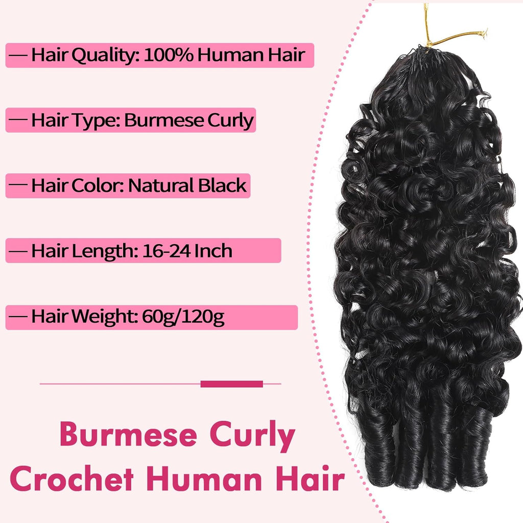 Beauty Queen Burmese Curly Crochet Human Hair 20 Inch 120g Knotless Pre-Separated Feather Human Hair Crochet Bundles 3C4A Lightweight Reusable Remy Hair Extensions for Women Natural Black Color