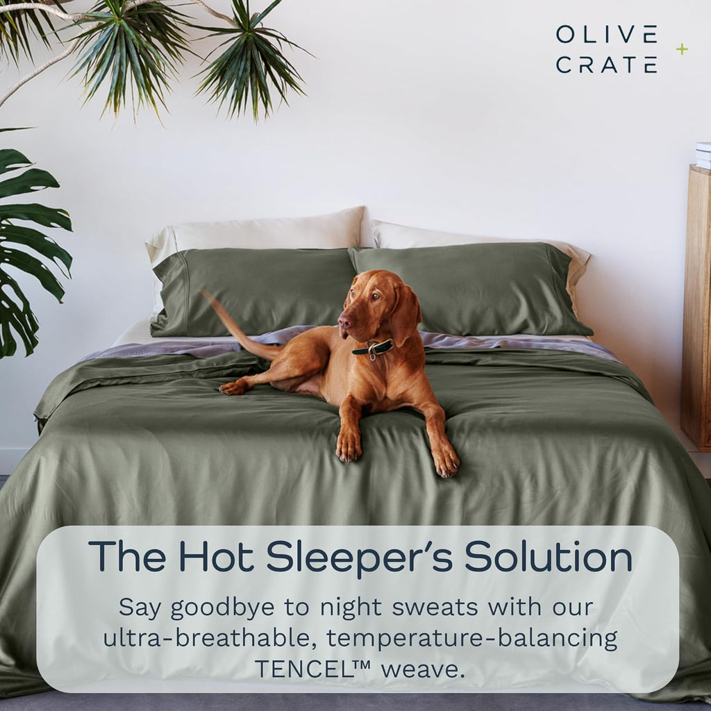 Olive + Crate Queen Size Tencel Duvet Cover Set - Hypoallergenic, Cooling Eucalyptus Duvet Cover for Hot Sleepers with Two Pillowcases - Moss 3-Piece