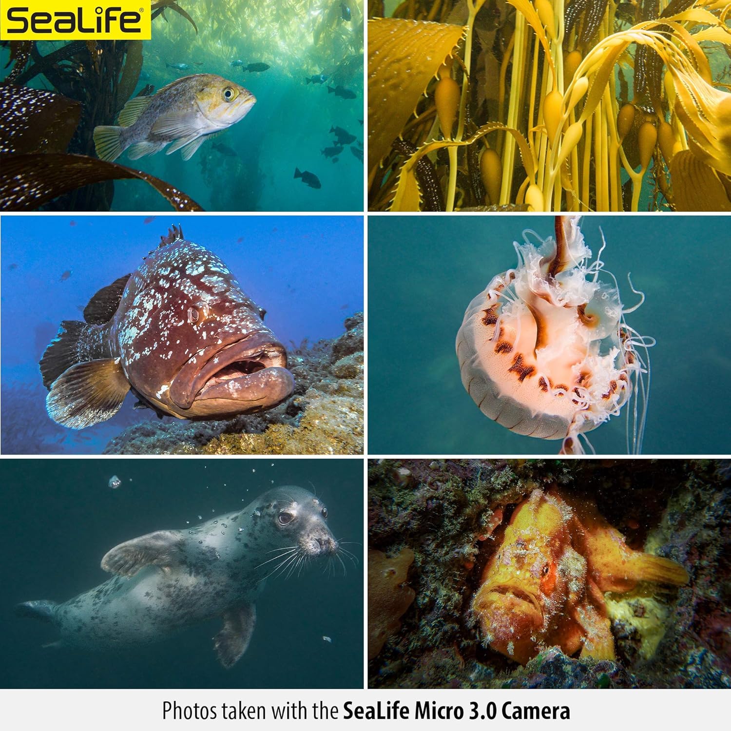 SeaLife Micro 3.0 64GB, 16mp, 4K Underwater Camera for Underwater Photography and Video, Easy Set-up, Wireless Transfer; Includes case, Wrist Strap