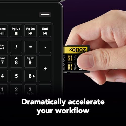 Lexar 256GB Professional 2000x SD Card, UHS-II, C10, U3, V90, Full HD, 8K, Up To 300MB/s Read SDXC Memory Card, for DSLR, Cinema-Quality Video Cameras (LSD2000256G-BNNNU)