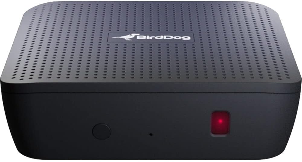 BIRDDOG Play 4K NDI Player