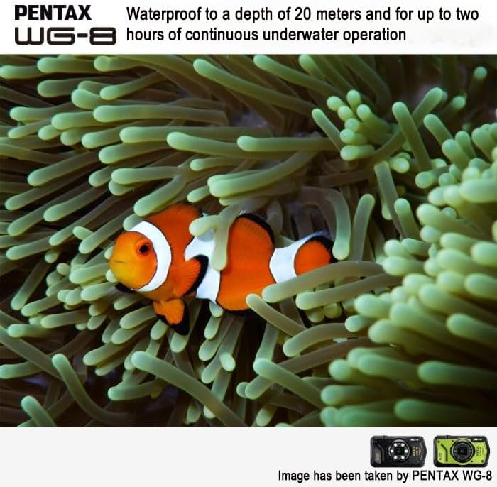 PENTAX WG-8 Black All-Weather Adventure Camera, Featuring Outstanding Waterproof, dustproof, Shock-Resistant Performance, Multi-Application Ring Light for Macro Photography and Webcam Function