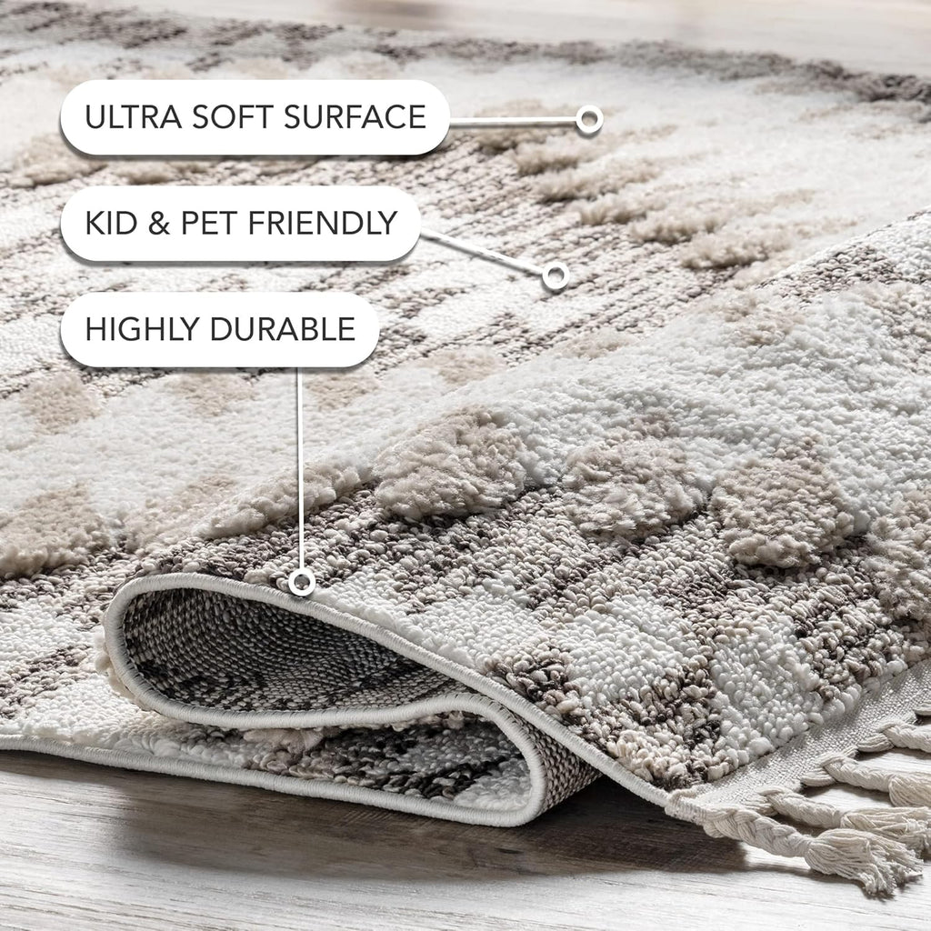nuLOOM Adelade Beige/Ivory, 8'10" x 12', Southwestern, Shaggy, Soft and Cozy, High Traffic, Stain Resistant Area Rug for Bedroom, Living Room, Dining Space, Den, Foyer, Entryway